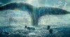 in the hart of the sea film.jpg